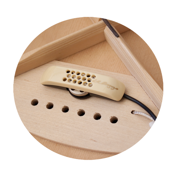LR Baggs Anthem Acoustic Guitar Pickup System with Element & Microphone