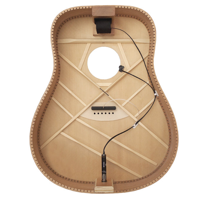 LR Baggs IBAS IBeam Bridge Plate Active Pickup System for Steel String Guitar