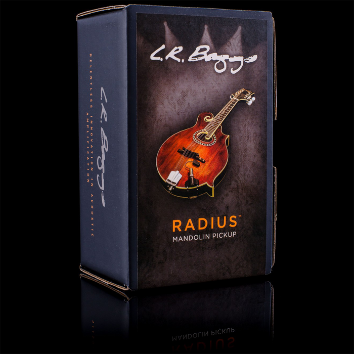 LR Baggs Radius Mandolin Pickup w/ JACK