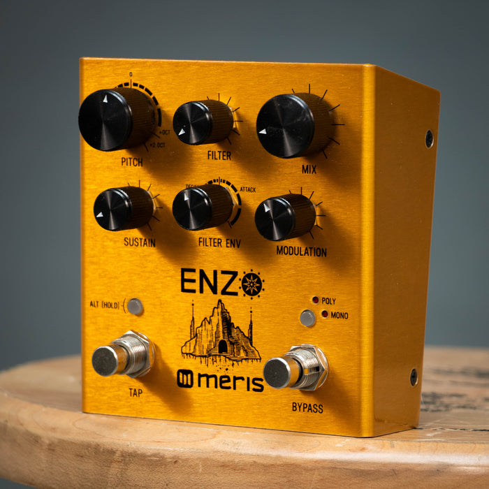 Meris Enzo Multi Voice Synthesizer Guitar Effects Pedal - Preowned