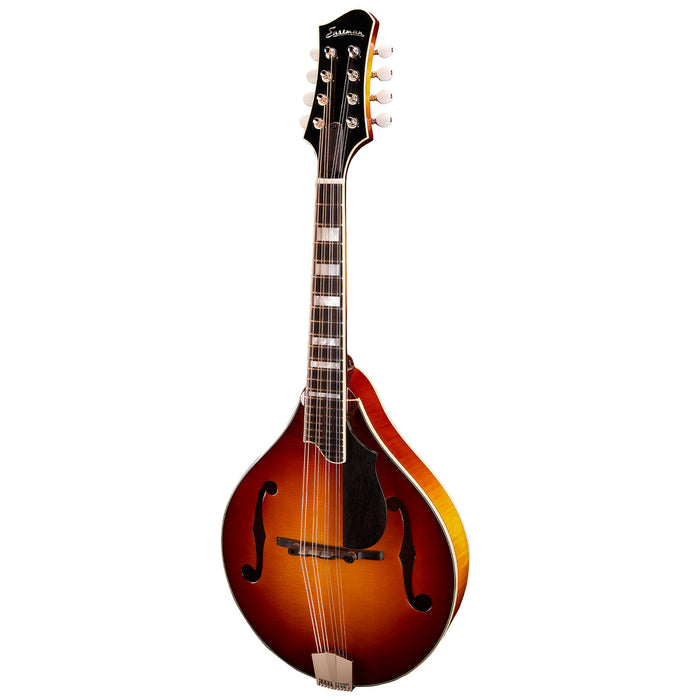 Eastman MD605-GB A Style F-Hole Electric Mandolin - Goldburst