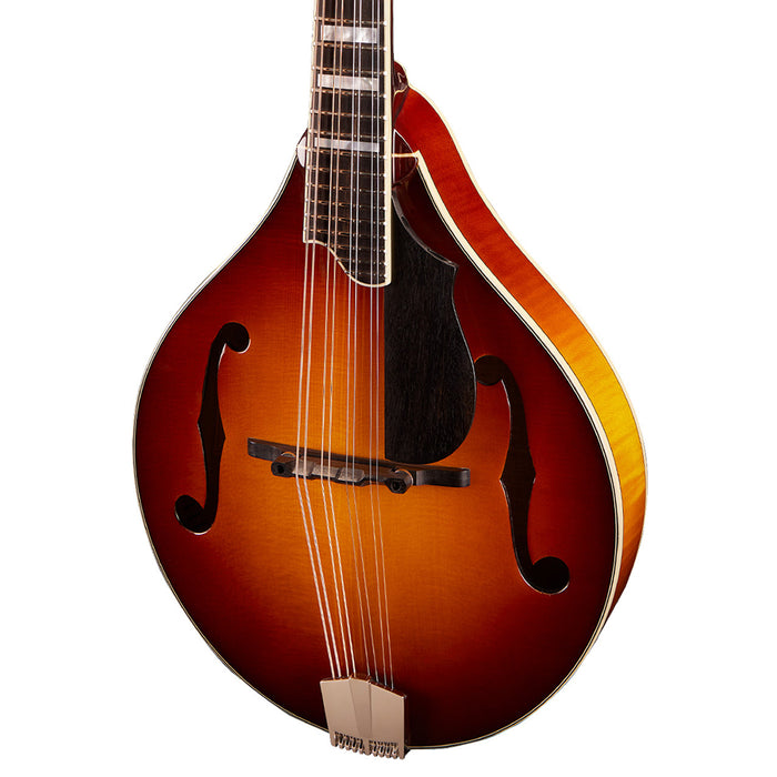 Eastman MD605-GB A Style F-Hole Electric Mandolin - Goldburst
