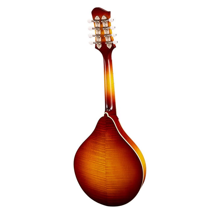 Eastman MD605-GB A Style F-Hole Electric Mandolin - Goldburst