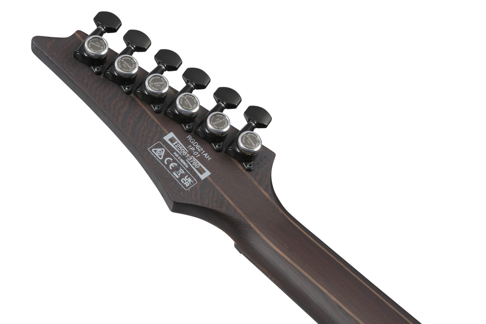 Ibanez RGD621AH Electric Guitar - Midnight Shade Flat