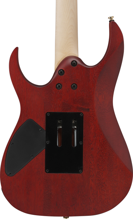 Ibanez RGR420FMSP TGF LTD Electric Guitar - Transparent Gray Flat