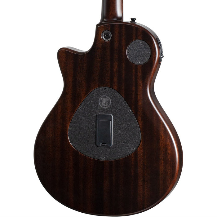 Taylor T5z Classic Rosewood Electric Guitar