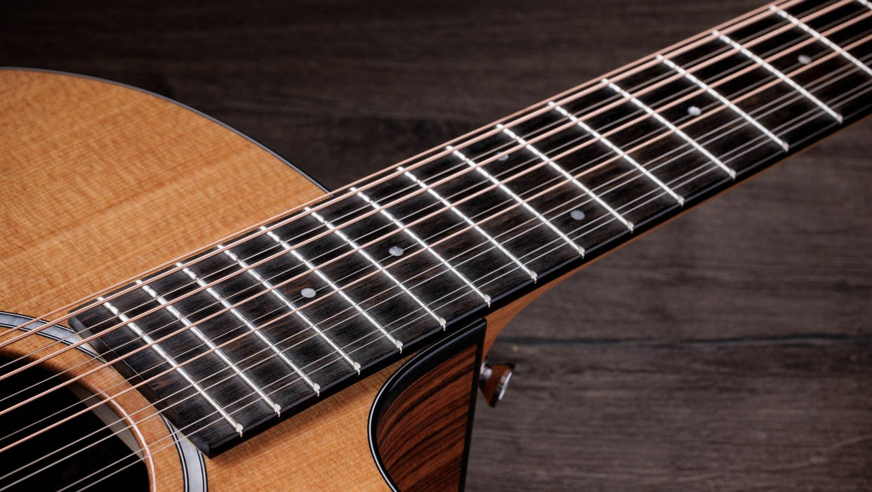 Taylor 254ce Plus 12 String Grand Auditorium Acoustic Electric Guitar