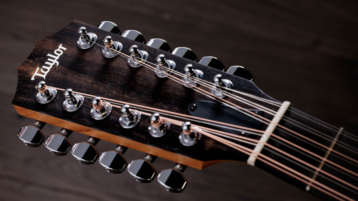 Taylor 254ce Plus 12 String Grand Auditorium Acoustic Electric Guitar