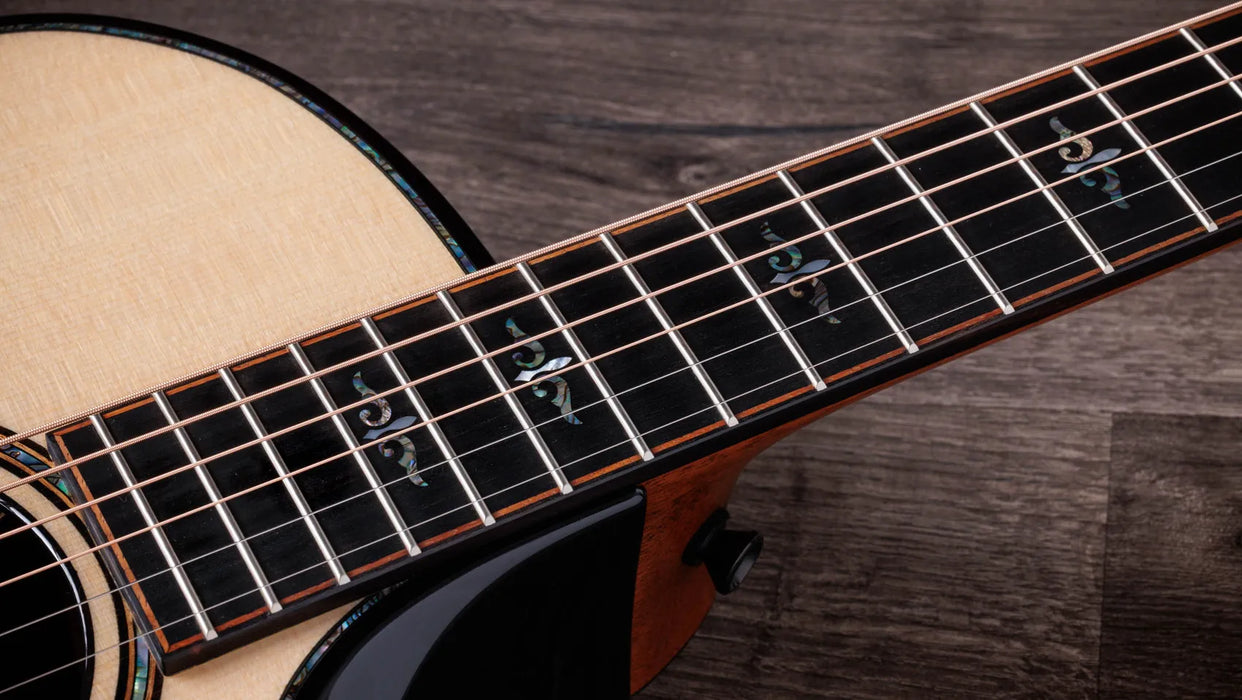 Taylor Next Generation Builder's Edition 914ce Grand Auditorium Acoustic Electric Guitar - Indian Rosewood / Lutz Spruce
