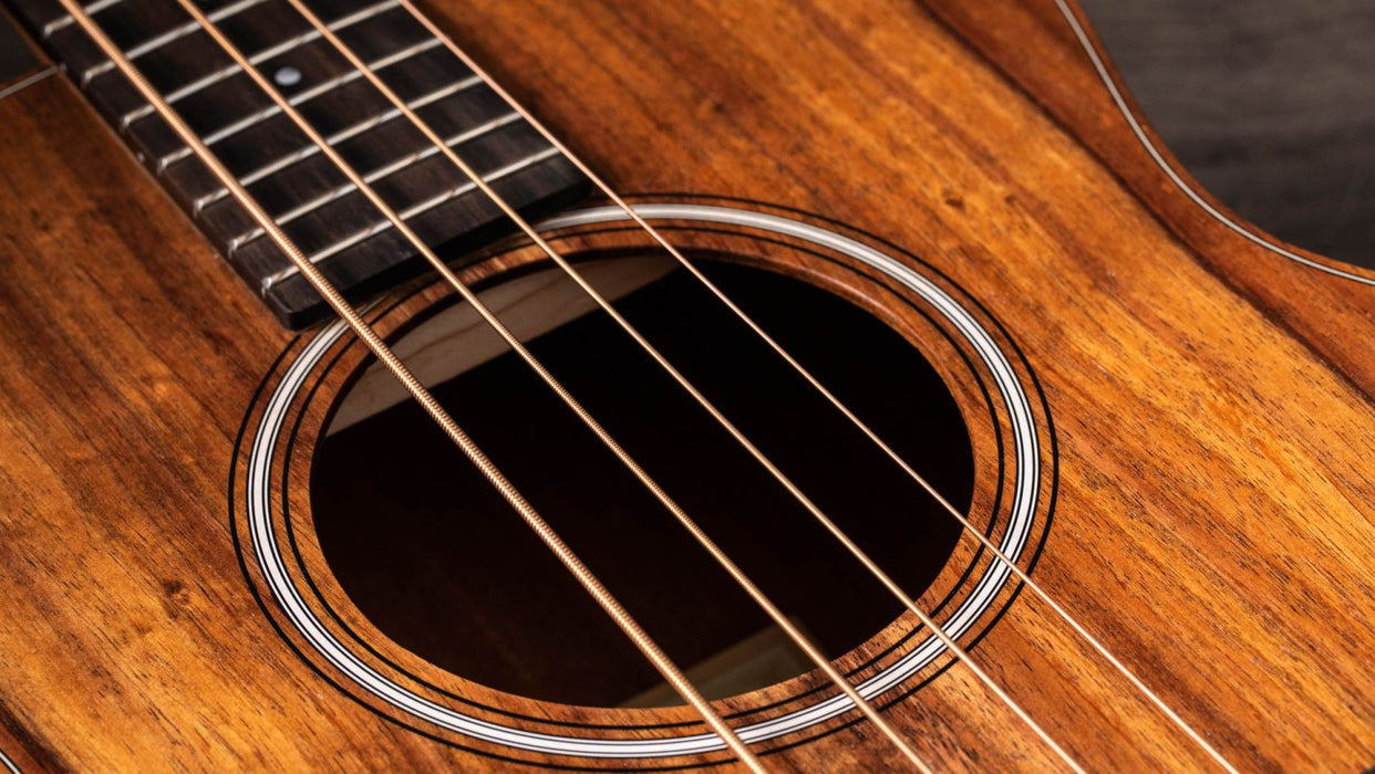 Taylor GS Mini-e Koa Bass Acoustic Electric Bass Guitar