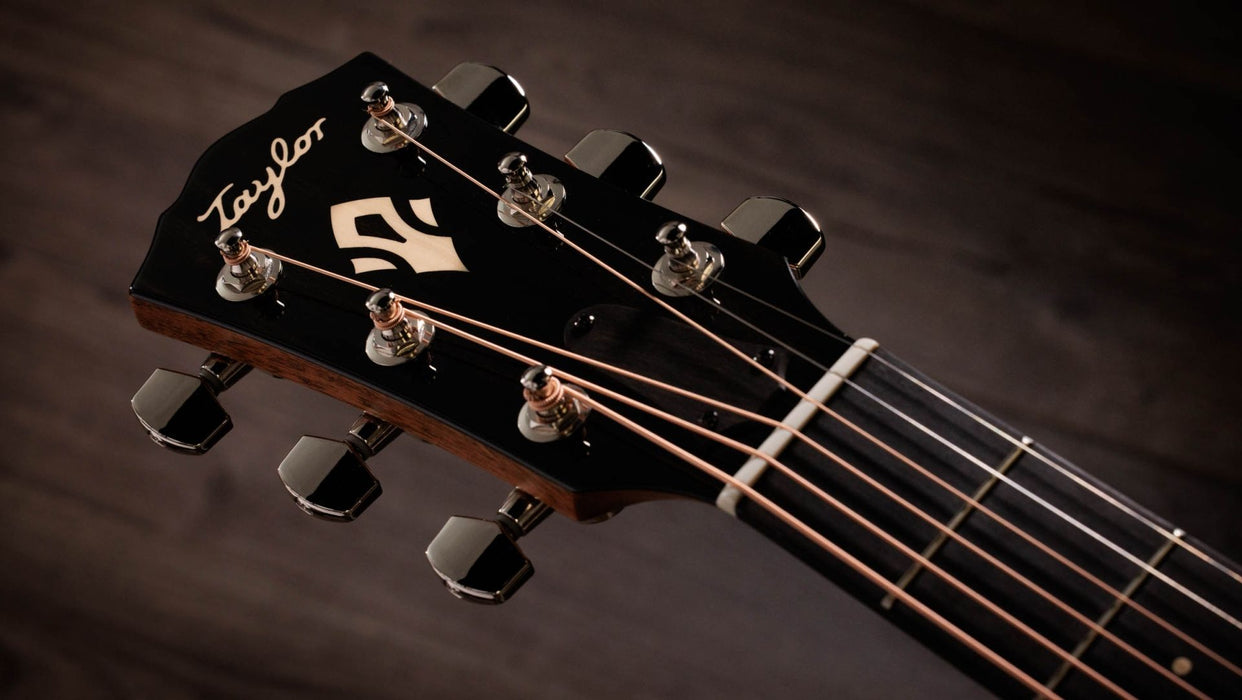 Taylor Gold Label 517e Spruce / Mahogany Grand Pacific Acoustic Electric Guitar - Natural