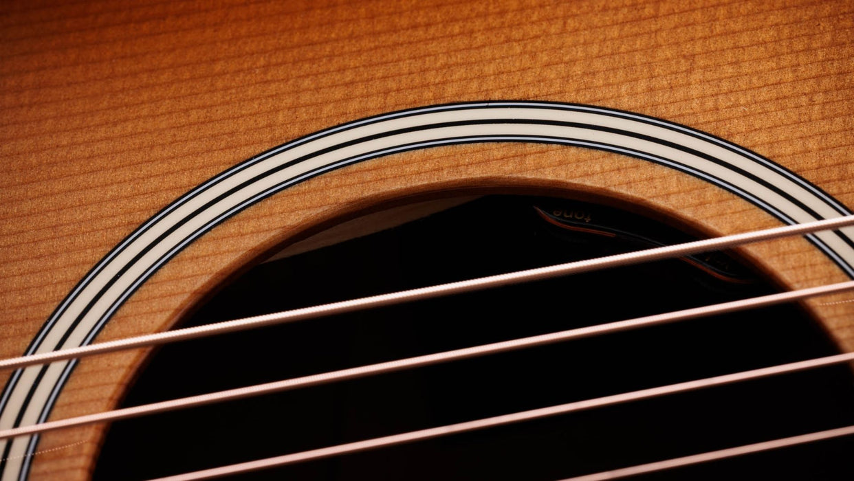 Taylor Gold Label 517e Spruce / Mahogany Cream Pickguard Grand Pacific Acoustic Electric Guitar - Sunburst