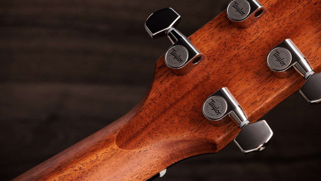 Taylor Gold Label 710e Indian Rosewood / Torrefied Sitka Dreadnought Acoustic Electric Guitar