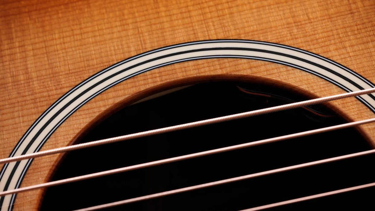 Taylor Gold Label 717e Spruce / Rosewood Cream Pickguard Grand Pacific Acoustic Electric Guitar - Sunburst