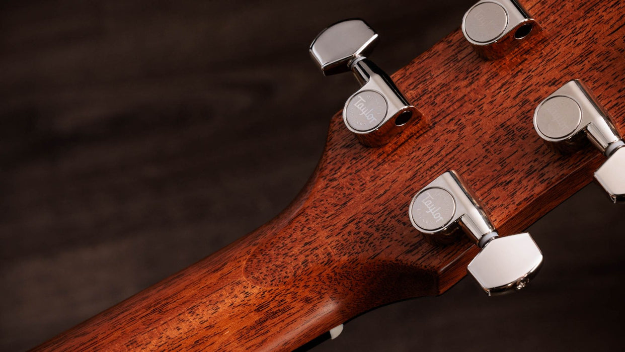 Taylor Gold Label 717e Spruce / Rosewood Firestripe Pickguard Grand Pacific Acoustic Electric Guitar - Sunburst