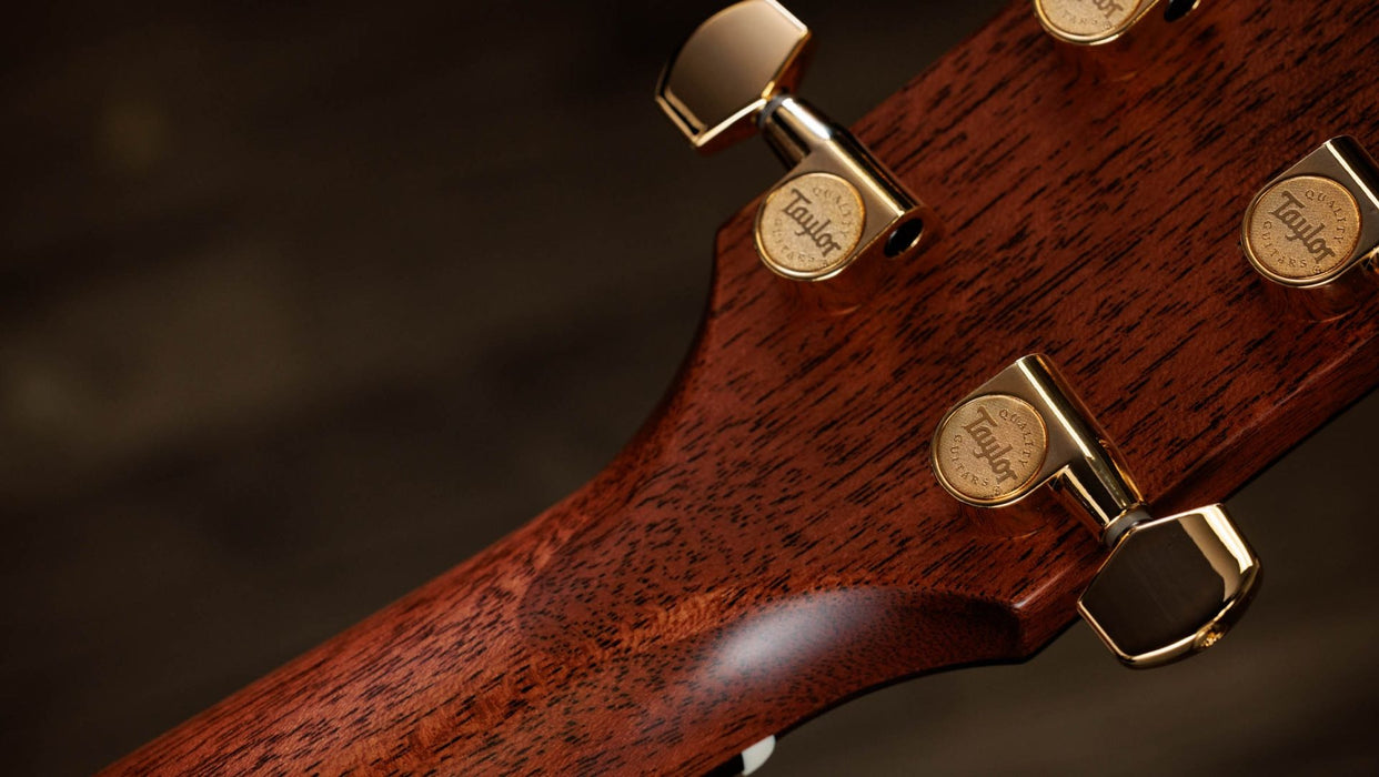 Taylor Legacy 914ce Grand Auditorium Acoustic Electric Guitar