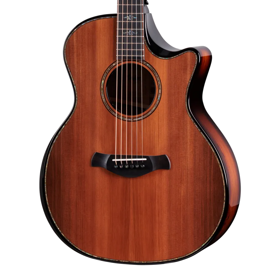 Taylor Next Generation Builder's Edition 914ce Grand Auditorium