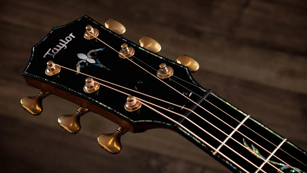 Taylor Next Generation PS14ce Grand Auditorium Acoustic Guitar - Honduran Rosewood / Sinker Redwood