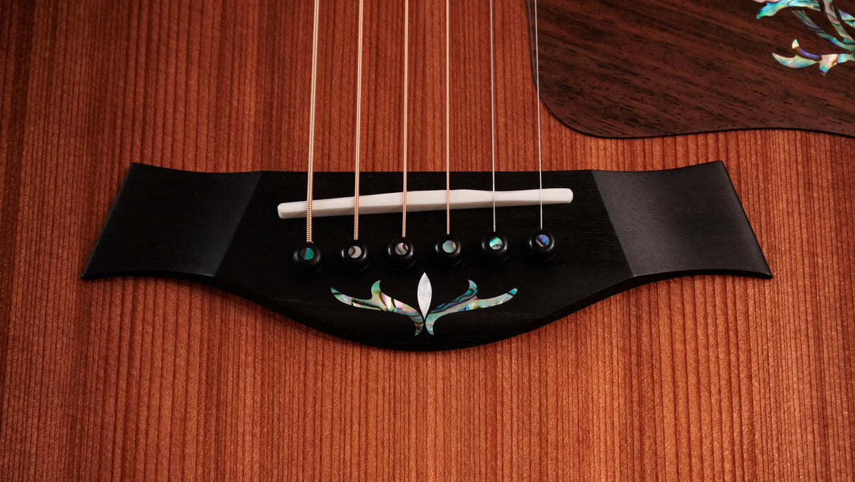 Taylor Next Generation PS14ce Grand Auditorium Acoustic Guitar - Honduran Rosewood / Sinker Redwood