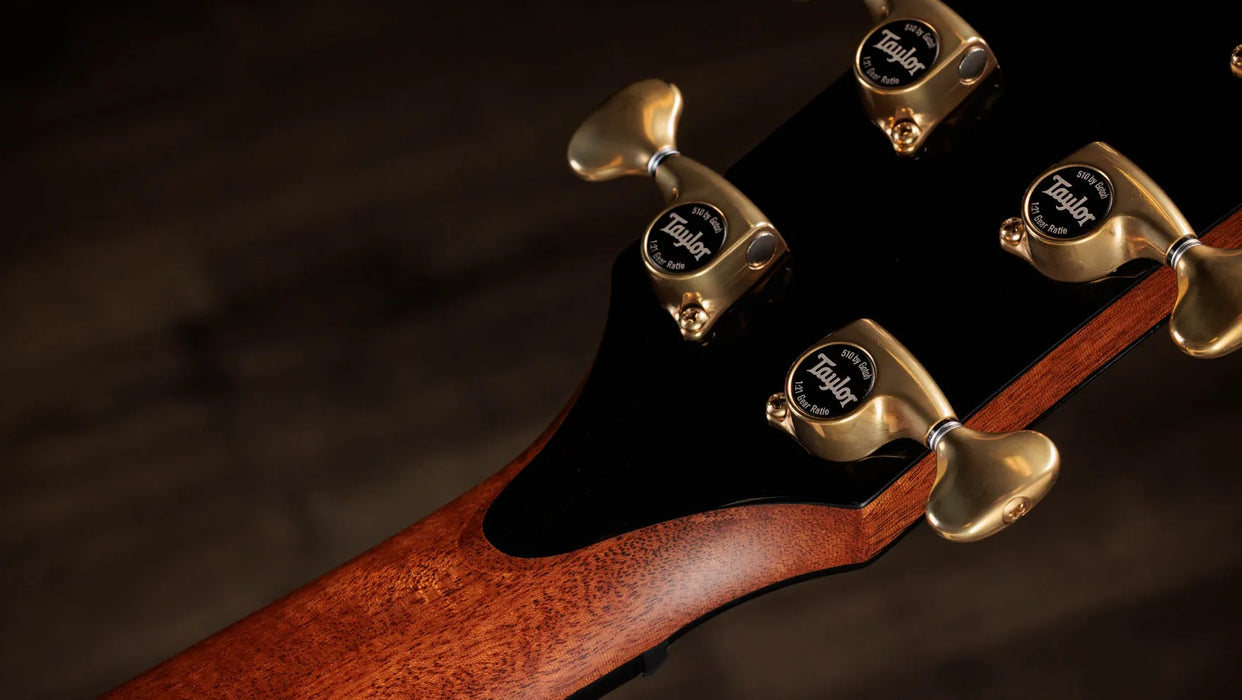 Taylor Next Generation PS14ce Grand Auditorium Acoustic Guitar - Honduran Rosewood / Sinker Redwood