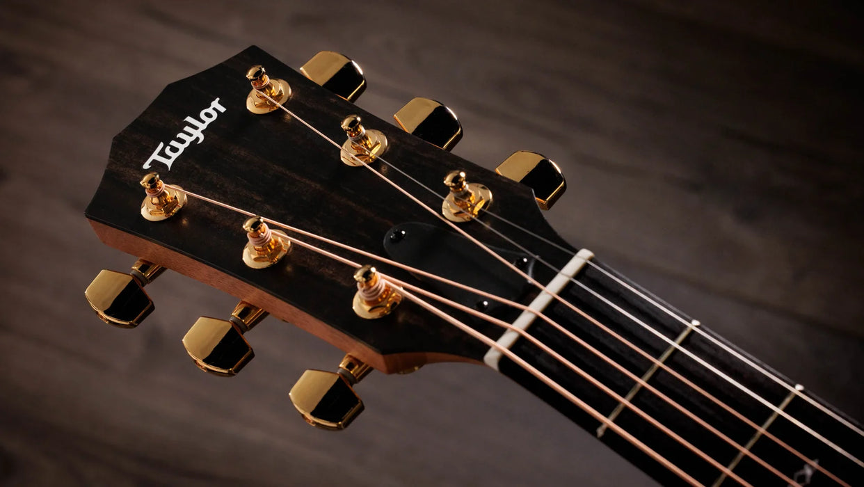 Taylor Sunset Blvd 214ce DLX SEB Acoustic Electric Guitar