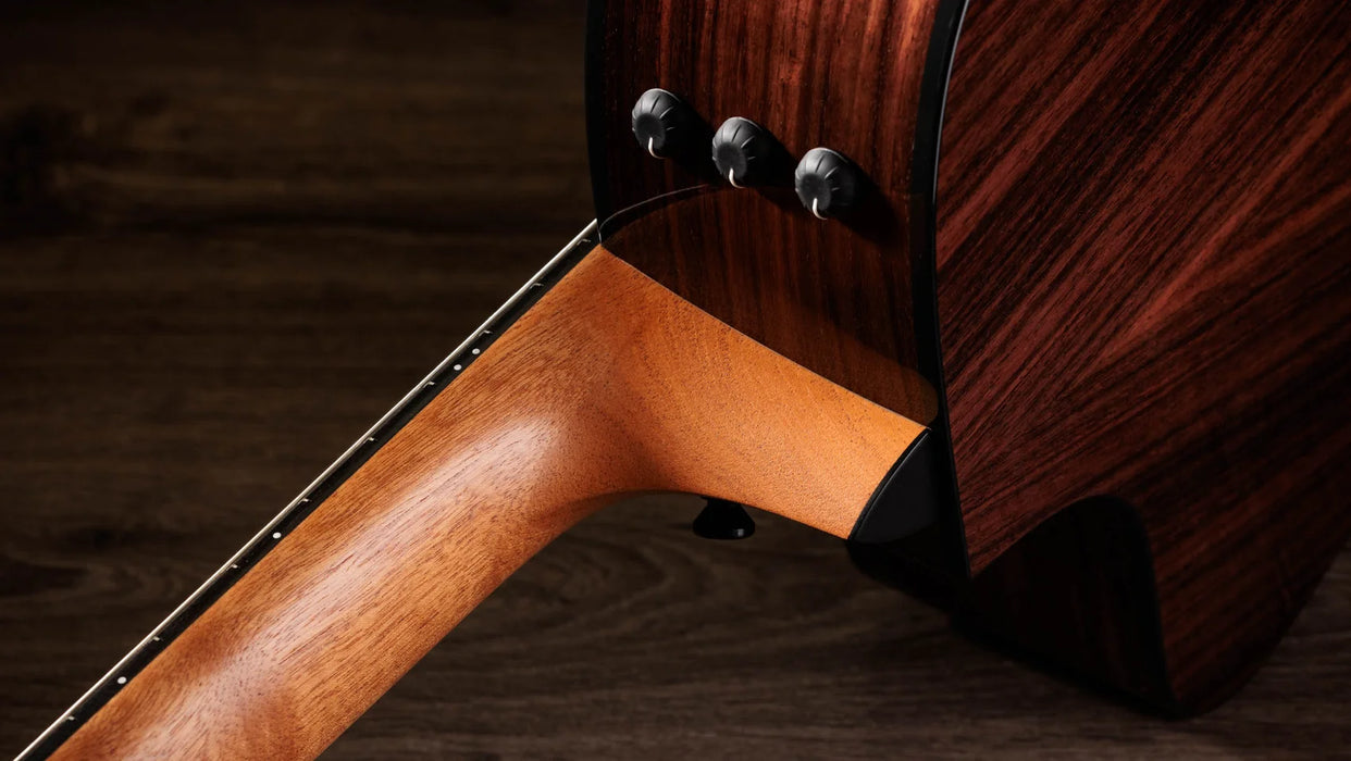 Taylor Sunset Blvd 214ce-N Plus Acoustic Electric Guitar