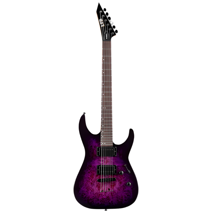 ESP LTD M-200DX NT Electric Guitar - Purple Burst