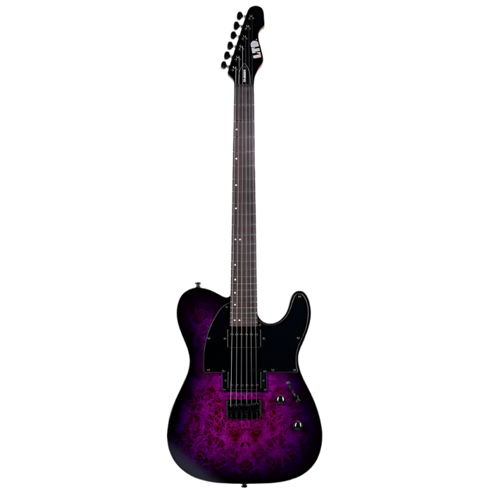 ESP LTD TE-200DX Electric Guitar - Purple Burst