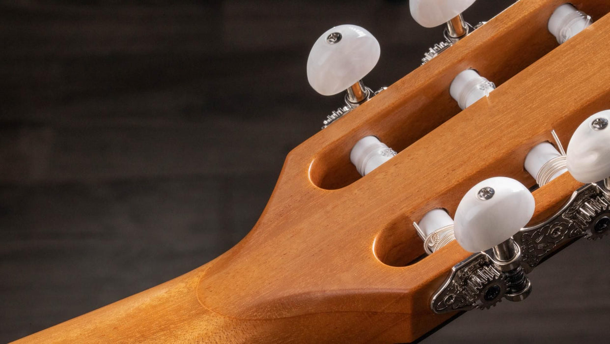 Taylor 814ce-N Grand Auditorium Acoustic Electric Guitar