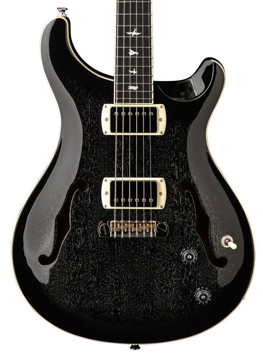 PRS SE Hollowbody Standard Electric Guitar - Dog Hair Smokeburst