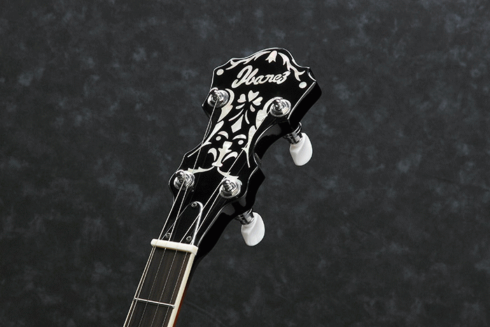Ibanez B200 5 String Banjo DWmusic